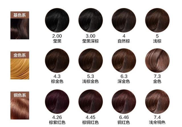 我市举办第五届“荷城金韵”文化活动