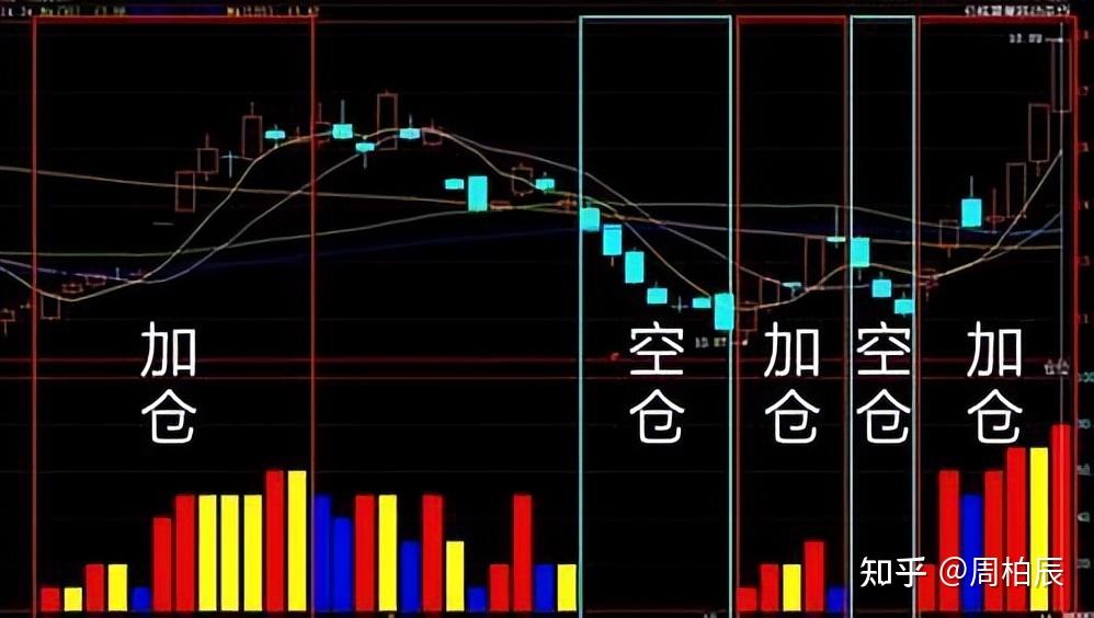 烈犬撕咬路人致其当场死亡，狗主人坐牢！